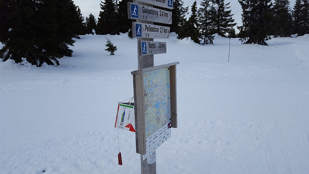Løypekryss med o-post