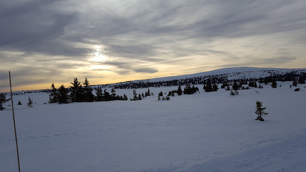 Utsikt mot Nevelfjell fra myrene mot Kriksvika