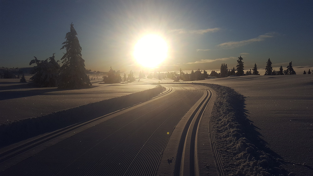 Stor sol langs Trolløypa mot Sjusjøen