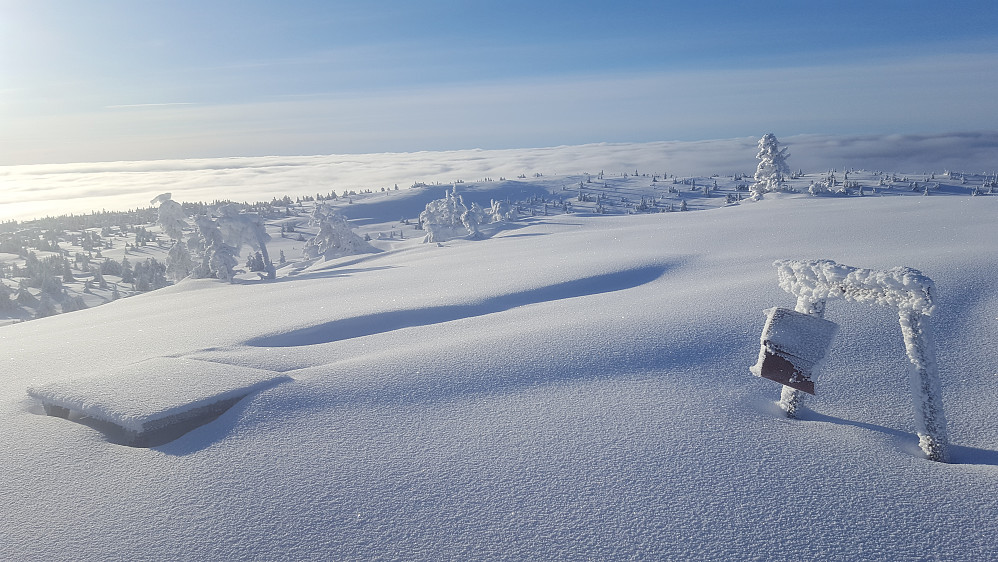 Strålende på Sjusjøfjellet
