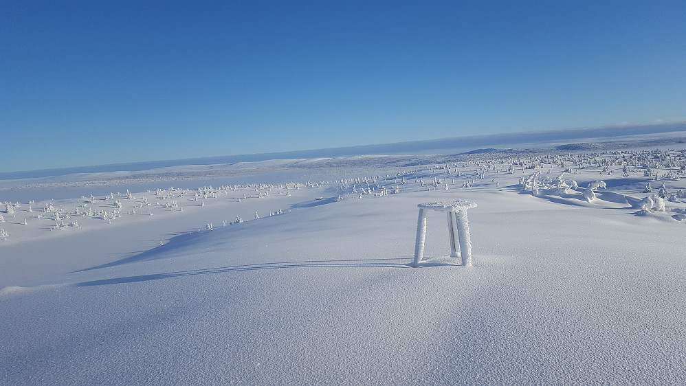På Sjusjøfjellet øst