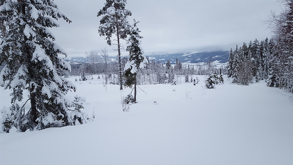 Mesnaelva ved Birkebeinerløypa