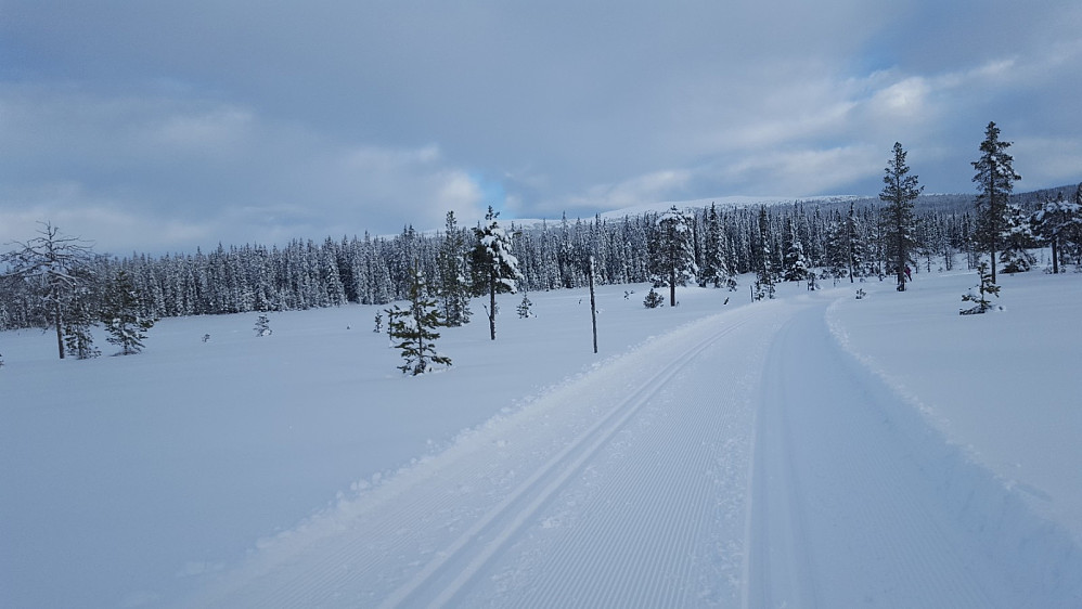 Innover myrene, ser mot Slåseterfjellet og Nevelfjell
