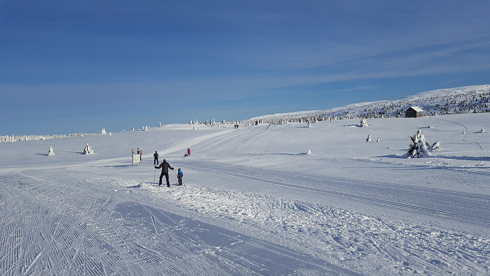 Turstart på Pellestova