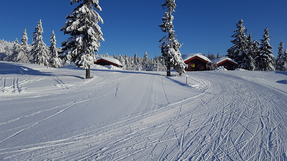 Ved Midtfjellkoia