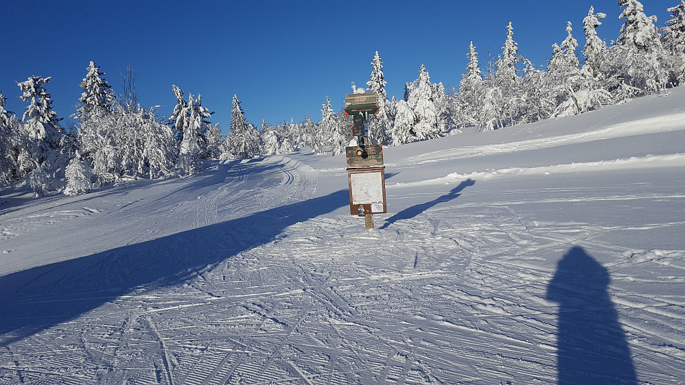 Ved Løypekrysset ved Midtfjellkoia
