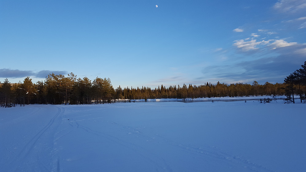 Mot Bottilflø