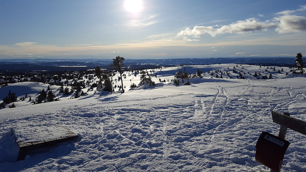 På Sjusjøfjellet