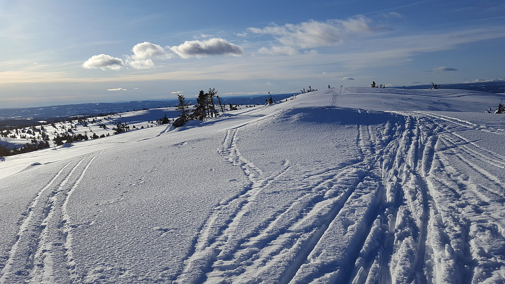 På Sjusjøfjellet øst