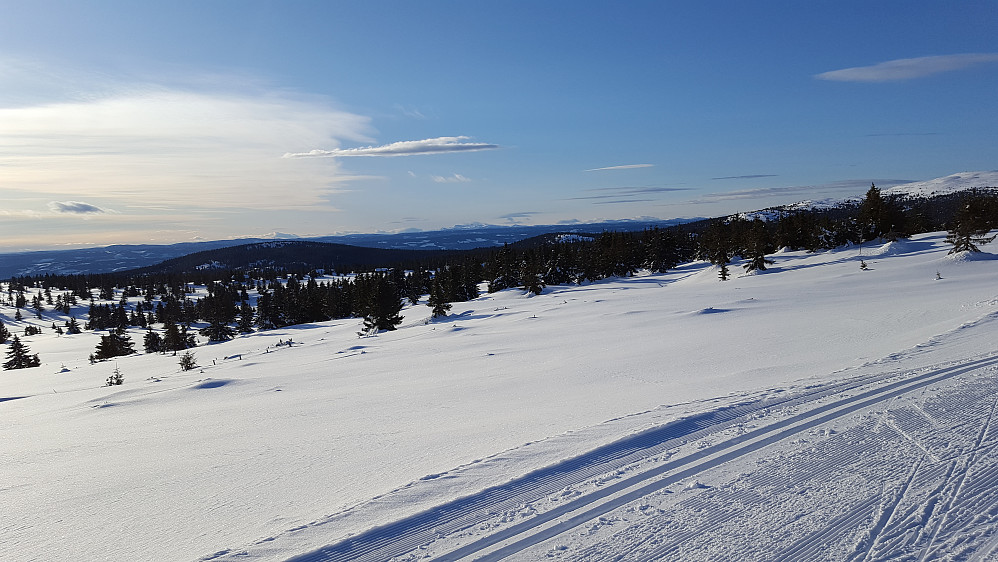 I løypa ved Løvisåsen