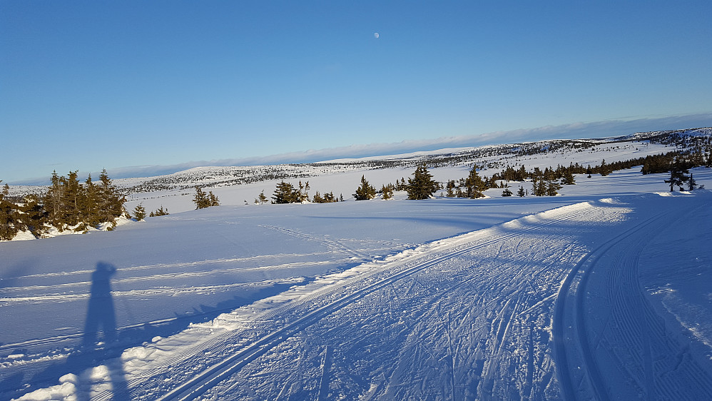 Nord for Nevelvatnet