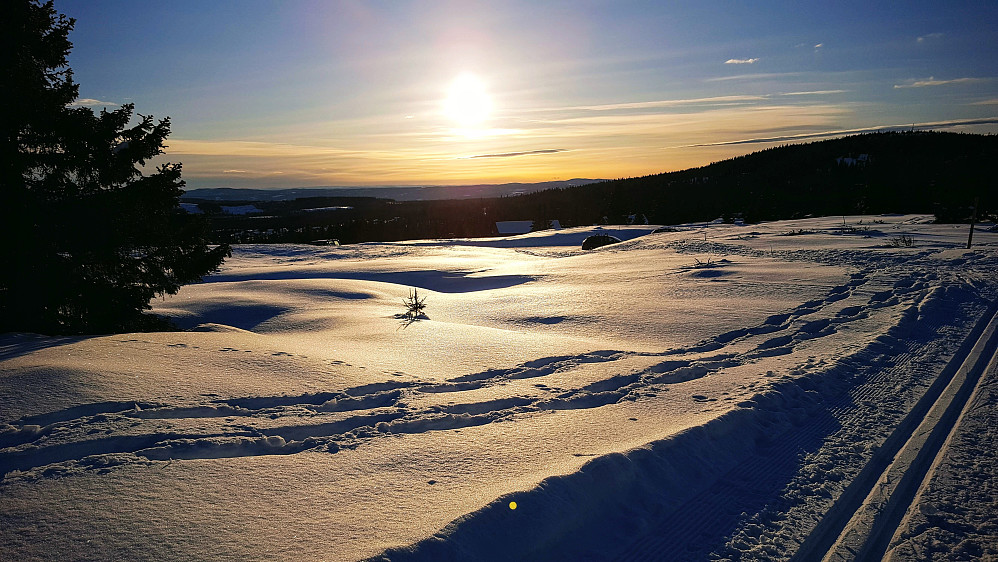 Tilbake på Nordseter