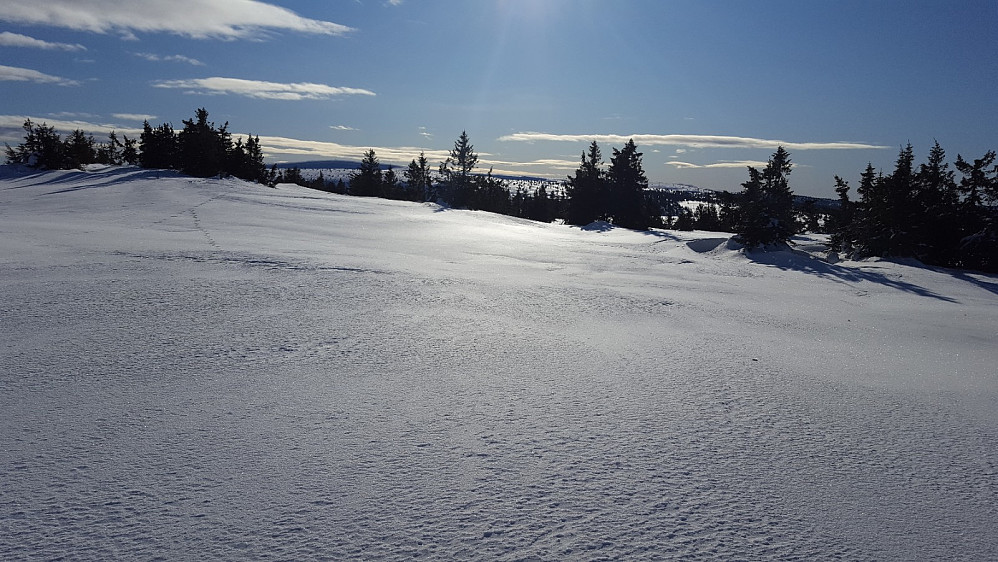 På Gjestbodåsen