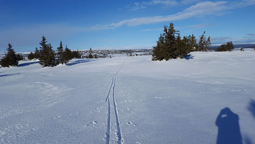 På Gjestbodåsen