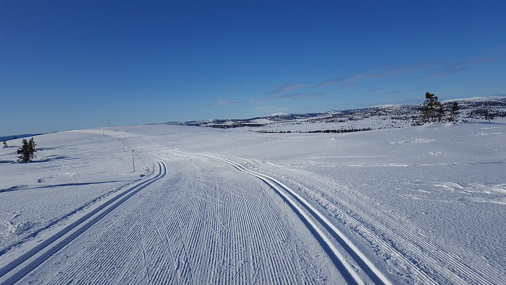 Nærmer meg Steinvikfjellet
