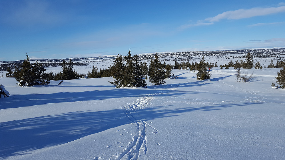 På Gjestbodåsen
