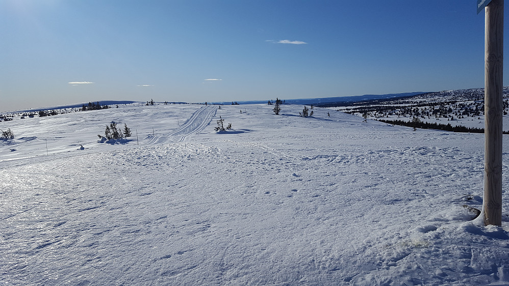 Steinvikfjellet
