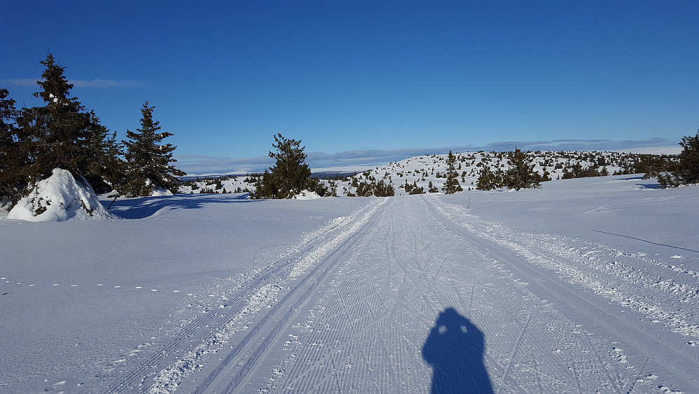 På Midtfjellet, ser tilbake mot Steinvikfjellet
