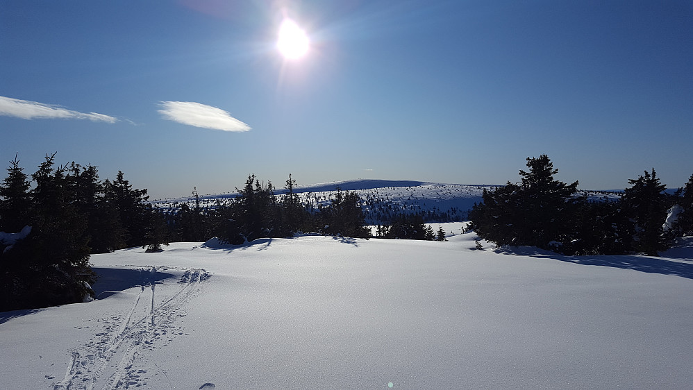 På Midtfjellet, ser Snørvillen

