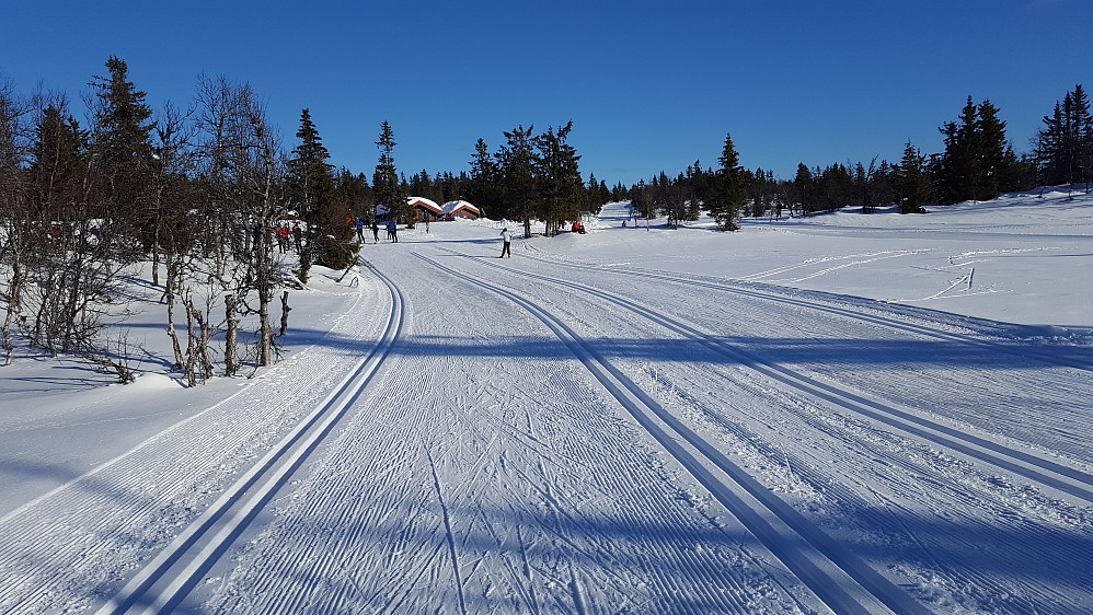 Ved Midtfjellkoia