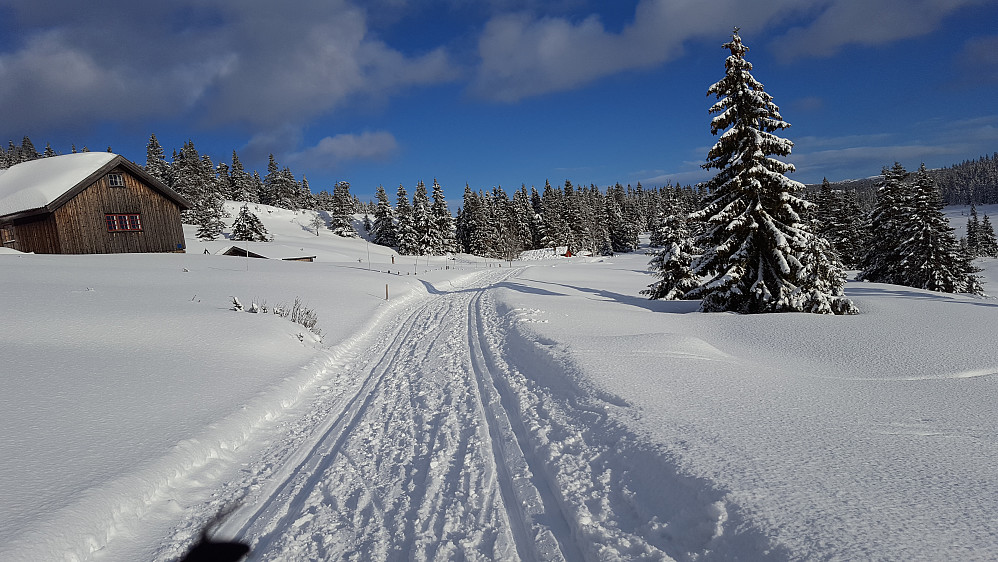 Ved setrene på Grøtåsen