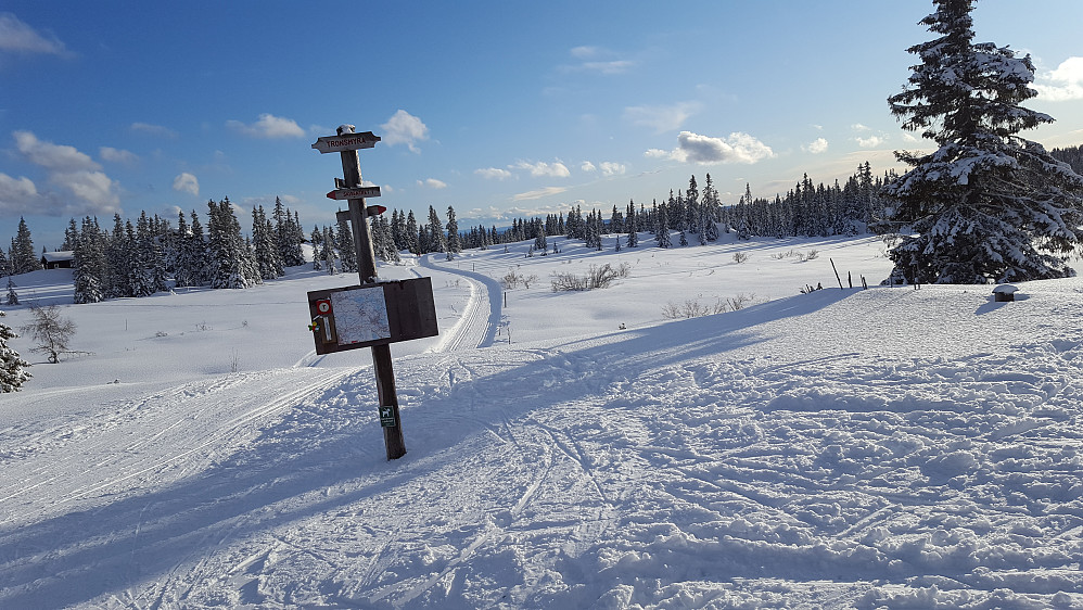 Ved Løypekrysset på Trondsmyra