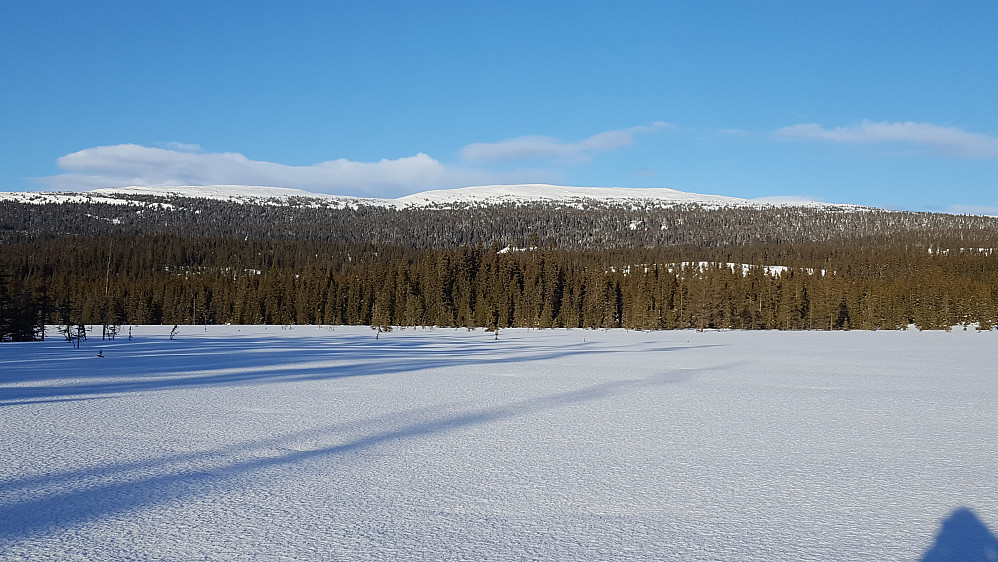 Slåseterfjellet og Nevelfjell fra Gropmarka

