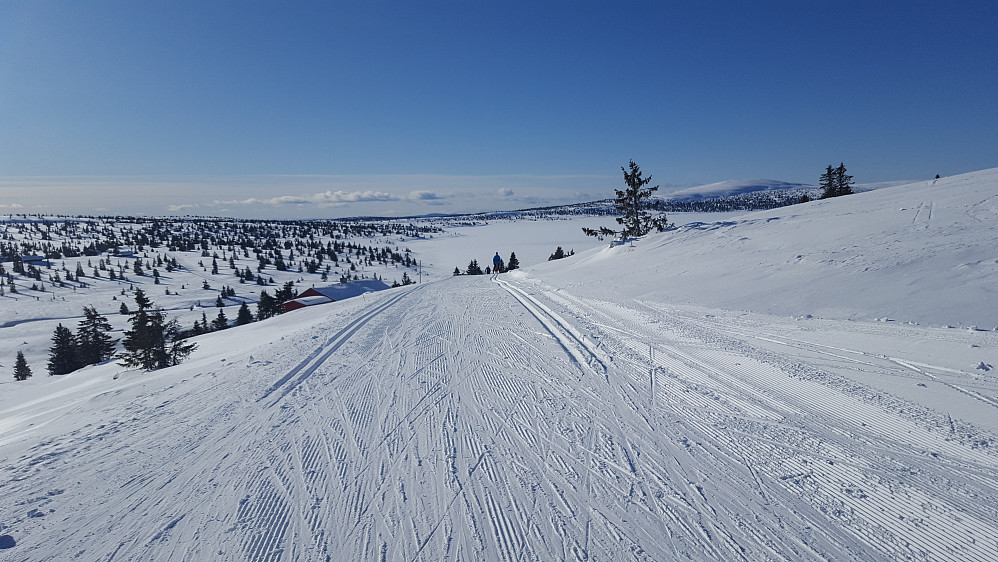 På Reinakrysset
