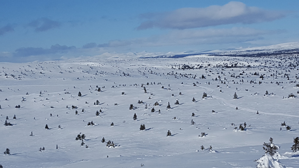På Kriksfjell, mot Rondane
