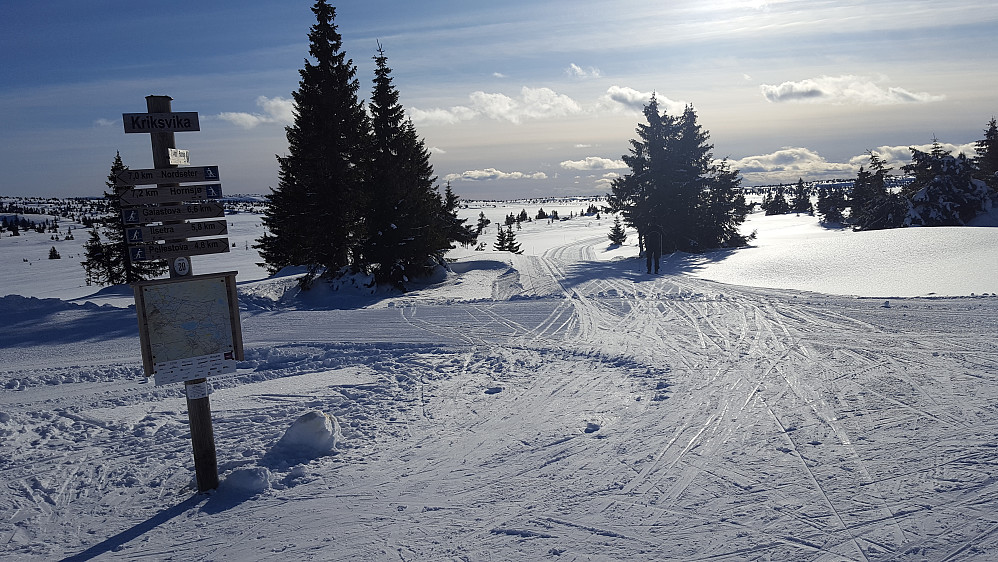 Ved løypekrysset i Kriksvika
