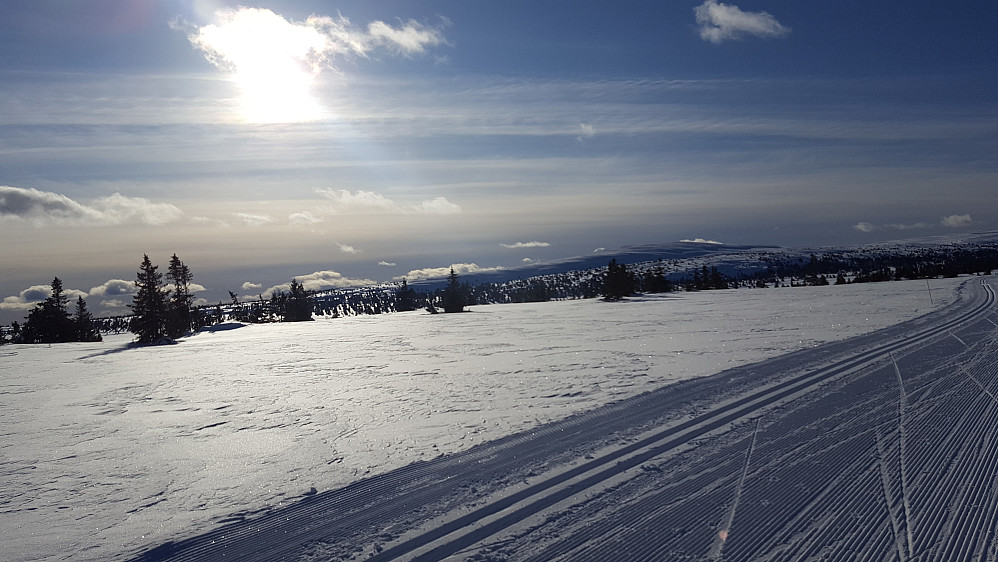 Nevelfjell fra løypa mellom Kriksvika og Trolløypa