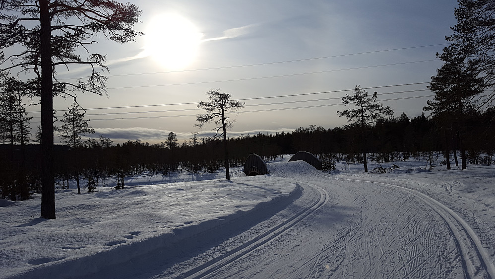 Birkebeinerløypa ved Kubrua
