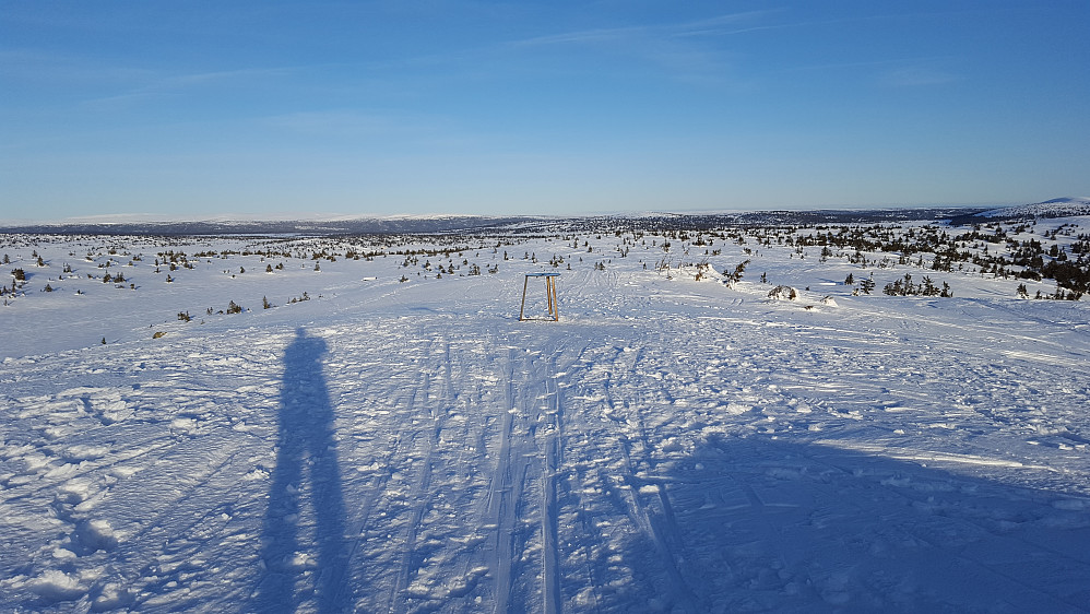 På Sjusjøfjellet øst