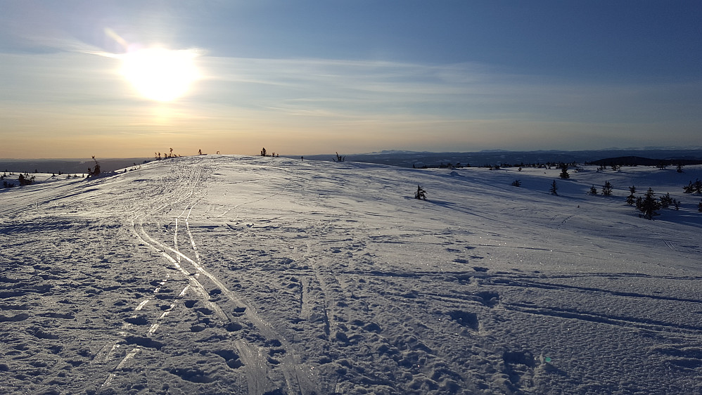 På Sjusjøfjellet øst