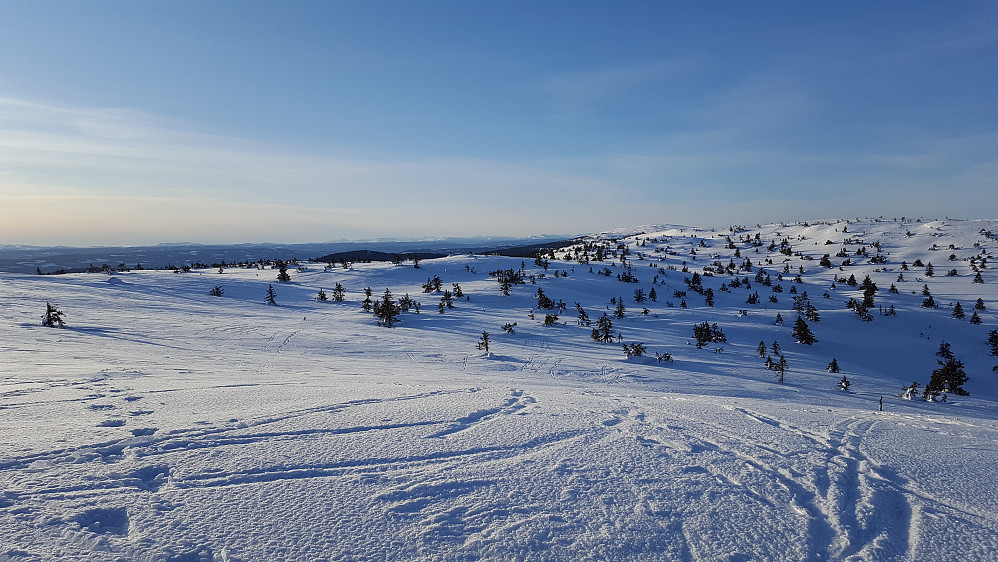 På Sjusjøfjellet øst