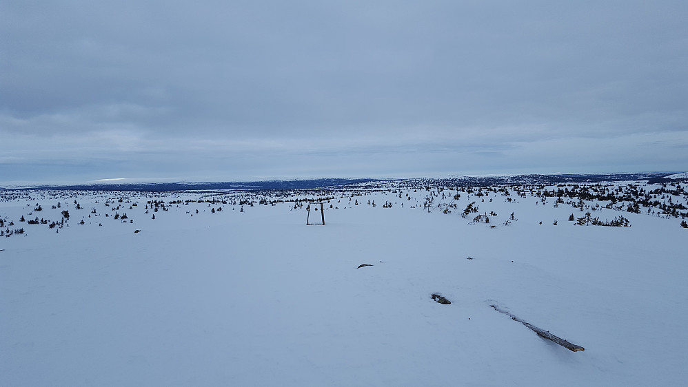 På Sjusjøfjellet øst