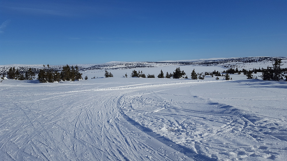Nord for Nevelvatnet