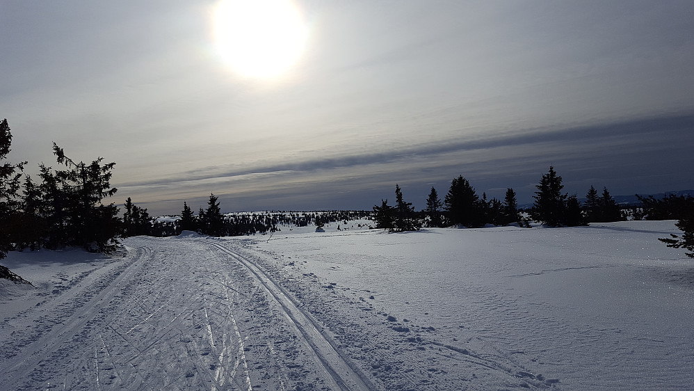 Løypa ved Løvisåsen