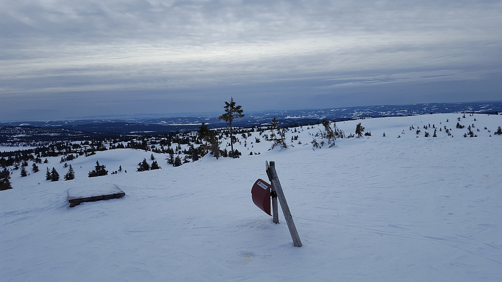 På Sjusjøfjellet
