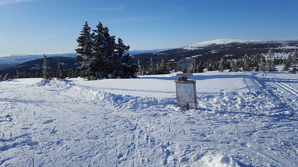 Ved løypekrysset Nordseterfjellet