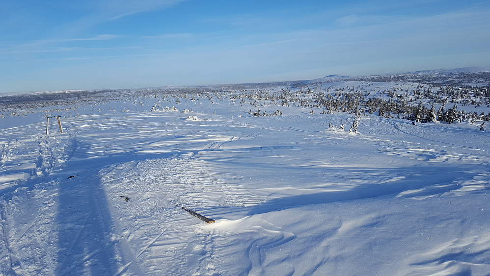 På Sjusjøfjellet øst 