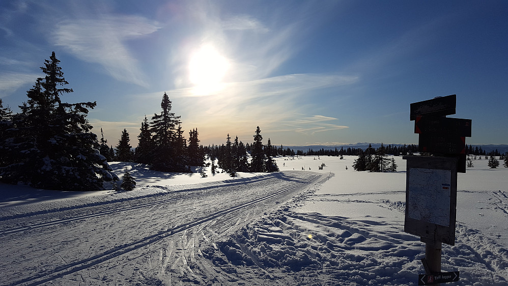 Ved løypekrysset Høghaugen