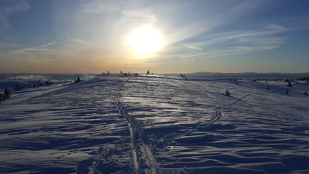 På Sjusjøfjellet øst