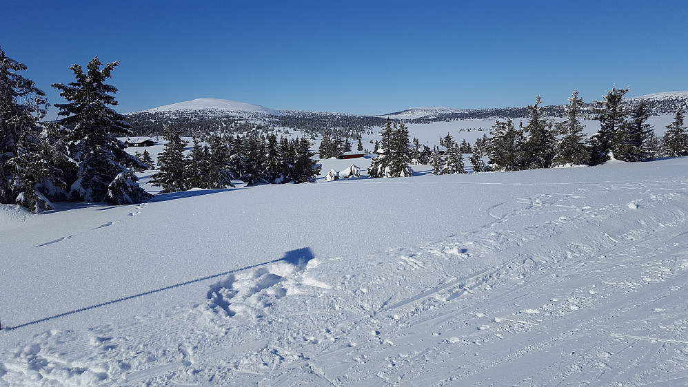 På Reinavegen