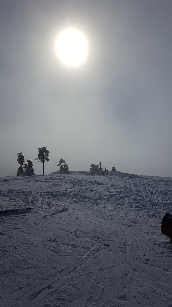 På Sjusjøfjellet