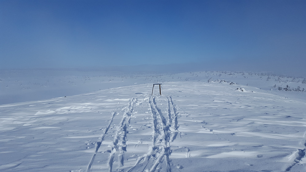 På Sjusjøfjellet øst