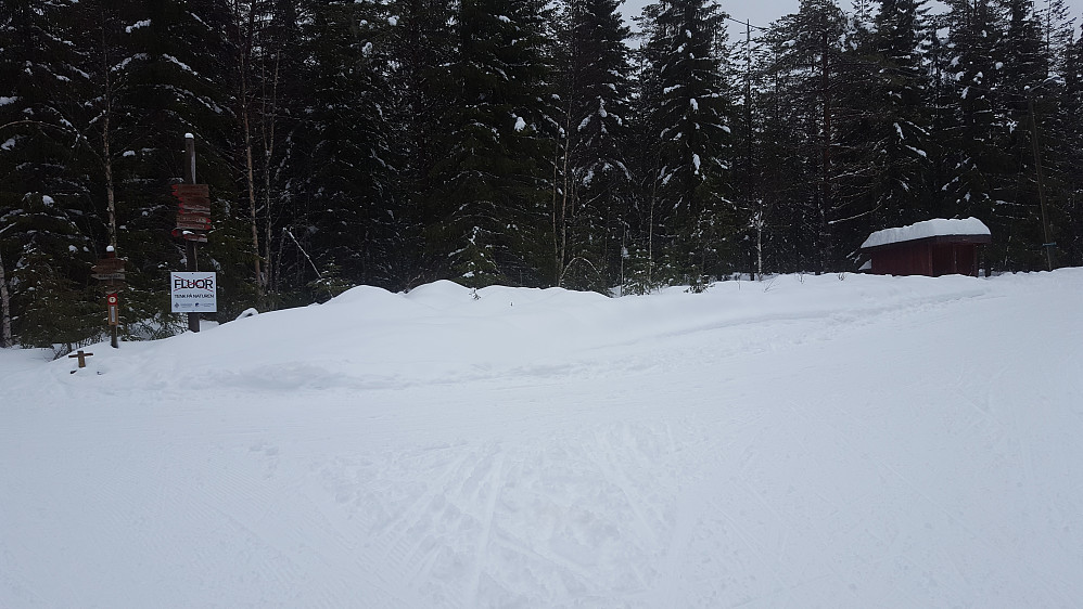 Ved Hammerkoia