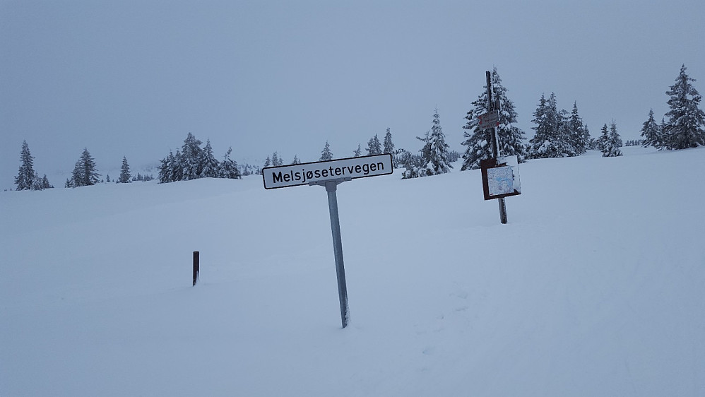 Ved Krysset ved Melsjøsetervegen
