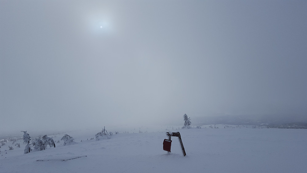 På Sjusjøfjellet