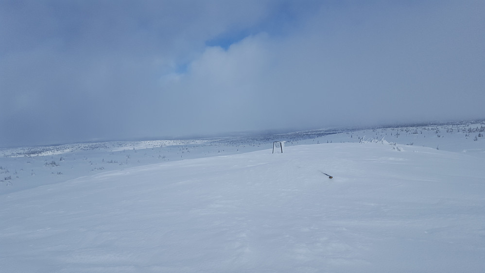 På Sjusjøfjellet øst